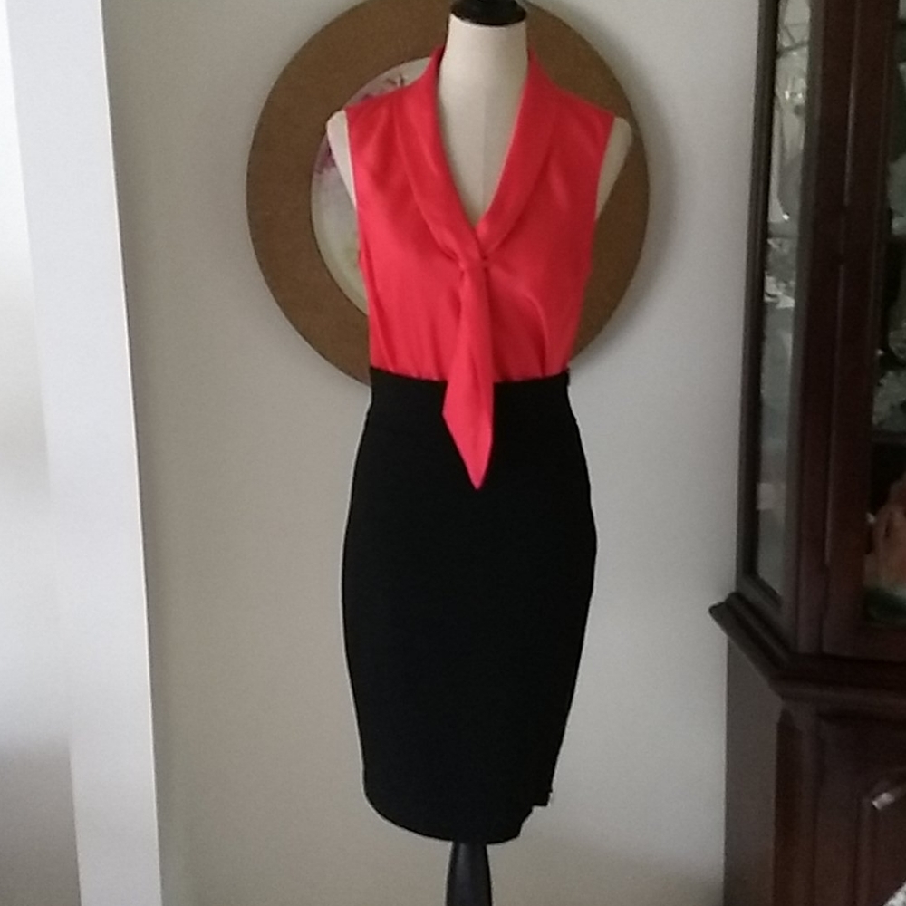 Express Skirt
